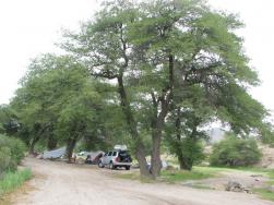 Oak Flat Campground