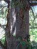 devils_canyon43